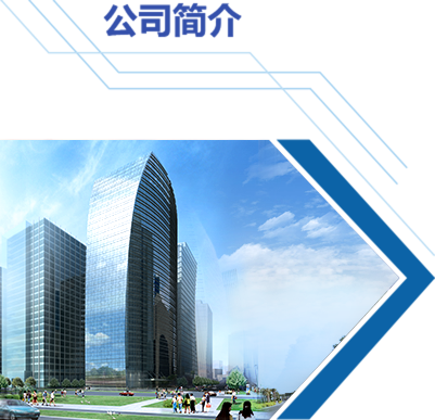卫擎简介